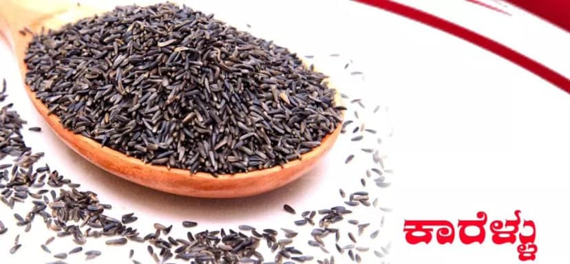 Kodli Kisan Niger Seeds 1kg | Premium Quality, Rich in Healthy Fats & Naturally Grown