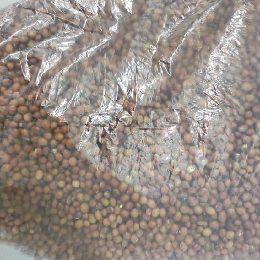 Red Gram 1000gm view 2