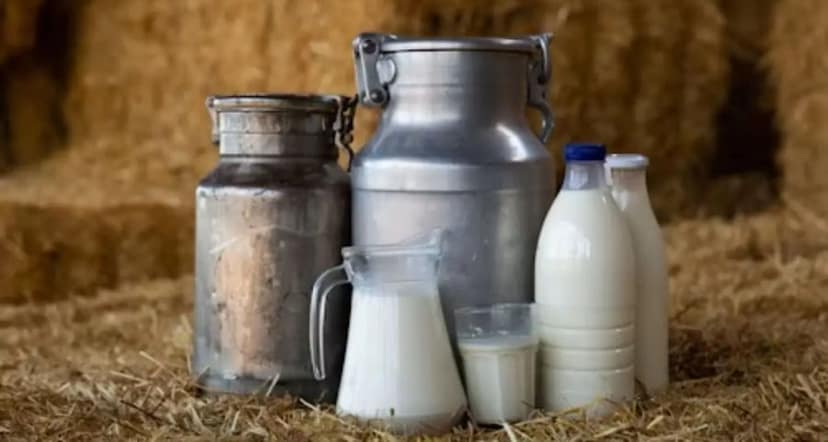 Farm Fresh Dairy Milk - 300 gm - One bottle view 2