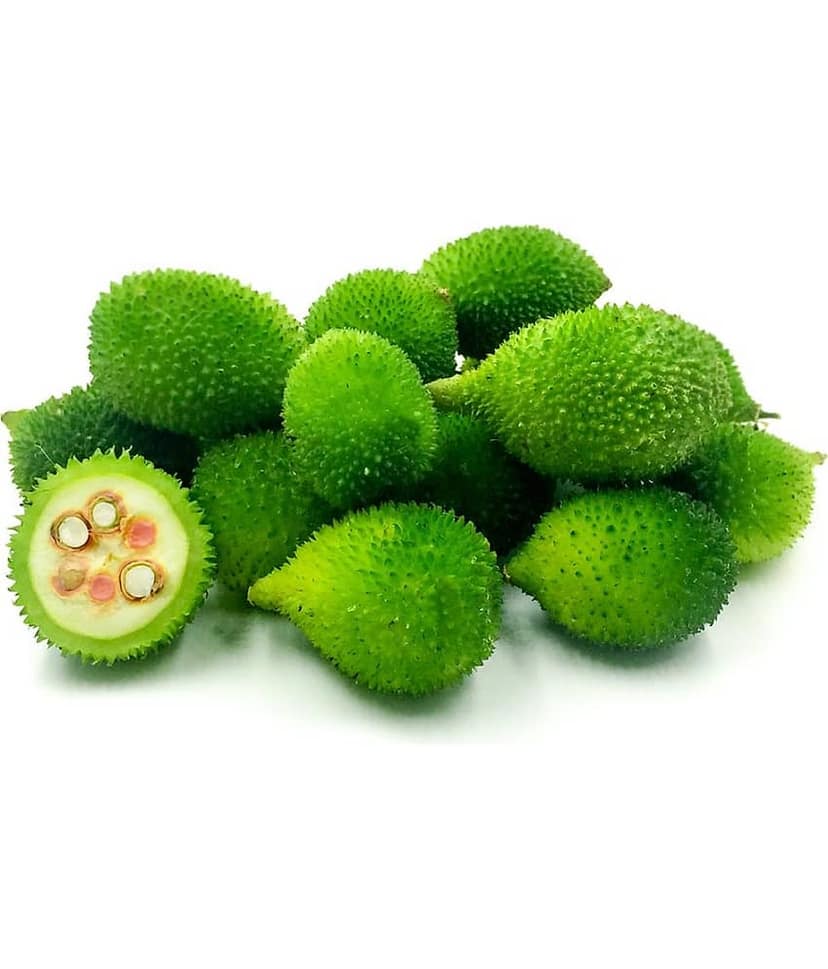 Greenwill Kakoda kantola Momordica dioica Seed (20 per packet)