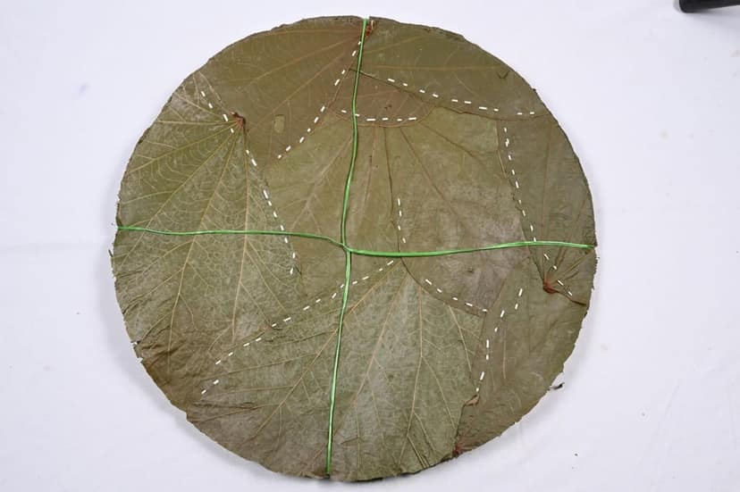 Dried Lotus Leaf, 100% Natural, 10g