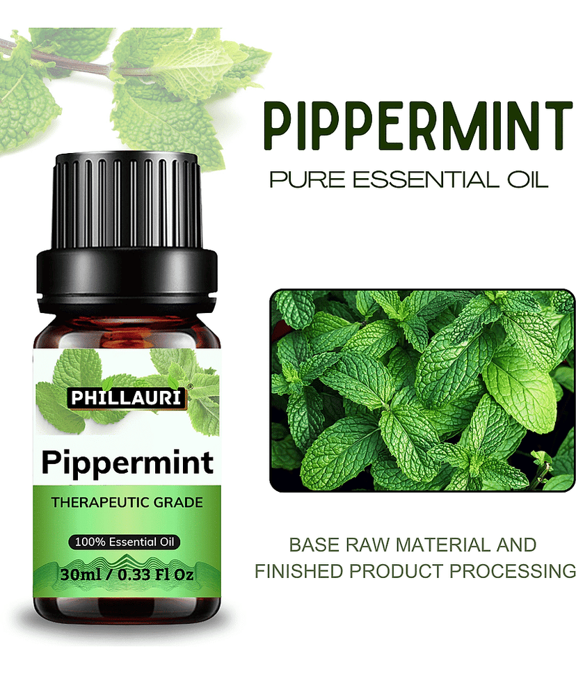 Phillauri Peppermint Others Essential Oil Fruity With Dropper 90 mL ( Pack of 3 ) view 2