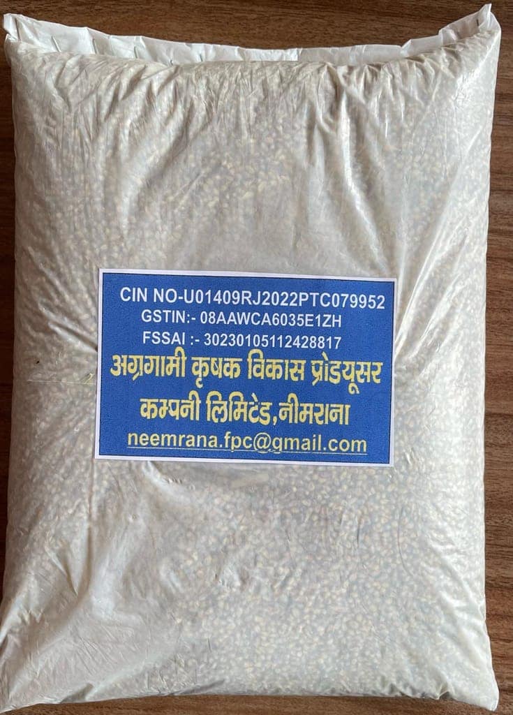 Bajara-Pearl Millet view 2