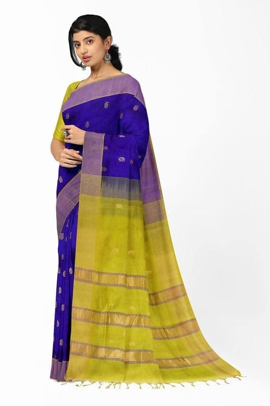 APCO Handloom - Women's Venkatagiri SICO Cotton Blend Handloom Saree, Blue 11 view 2