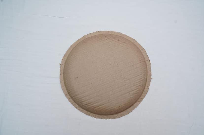 PAPER PLATES view 2