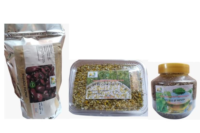 Pahadi Rajma + Chamomile Green Tea + Tulsi Mint Herbal Tea (From Devbhoomi Uttarakhand)