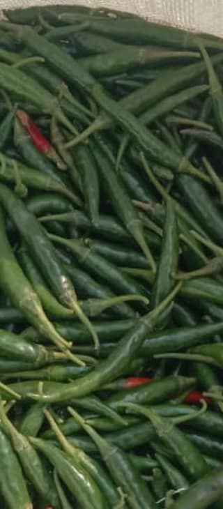 Green Chilli 1 kg
