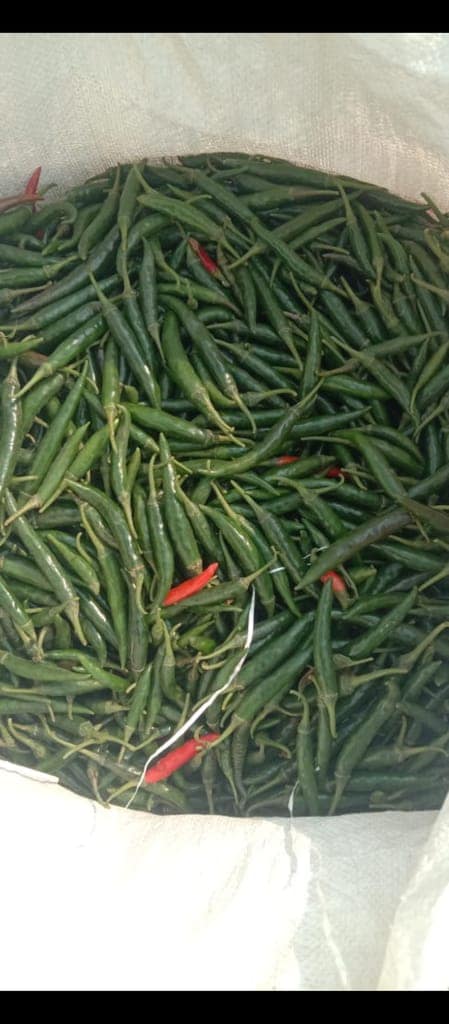 Green Chilli 1 kg view 2
