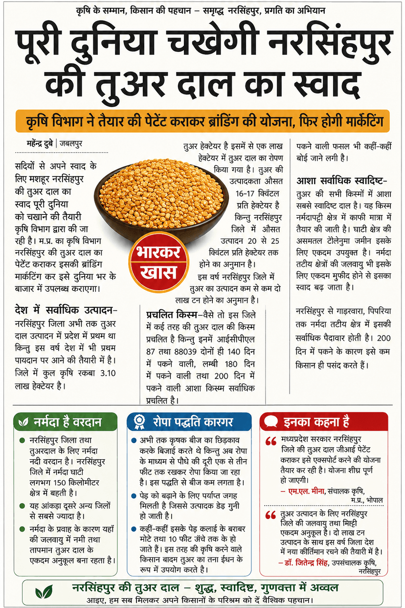 Gadarwara Mix Pulses Pack - 10 kg view 2