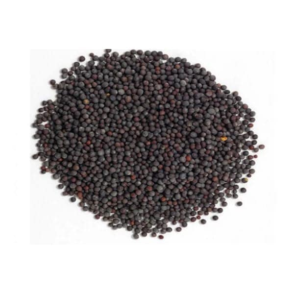Gunvika Black Mustard Seeds Big | Black Mustard Rai Seeds - 100 gm view 2