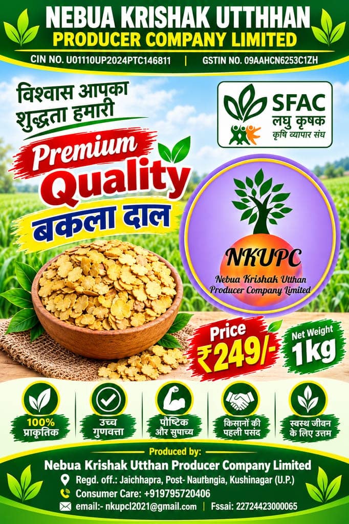 Fava Beans Dal | Bakla Dal | Balar Dal (1KG) view 2