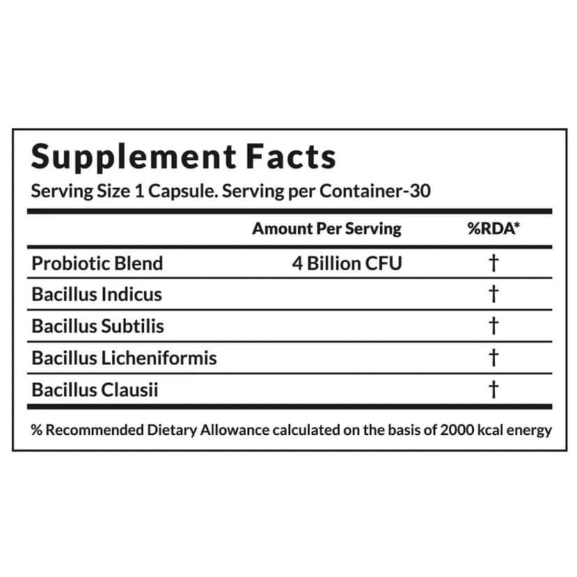 VitaOne Daily Gut Probiotic for Digestion & Immunity view 2