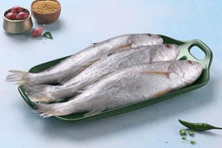 Croaker/Korae/Kalluri-Slices (May include head pieces) - 500gms(After Cleaning)