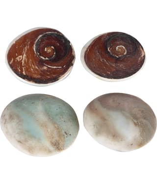 Bovzen Big Gomti Chakra 4 piece Multicolor