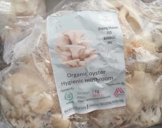 Doyang Dhansiri Fed Bamboo FPC Organic Oyster Mushroom – 1kg | Fresh & Hygienic Cultivation