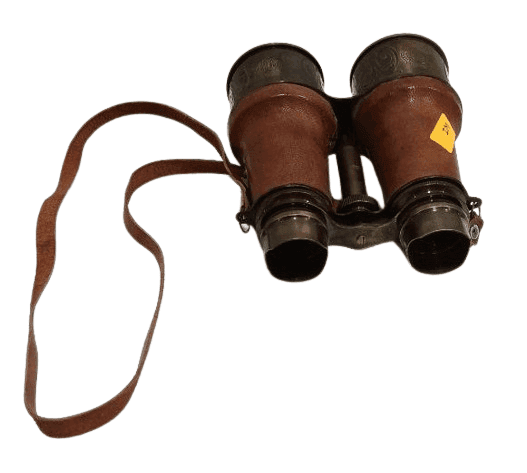 World Impex Binocular view 2