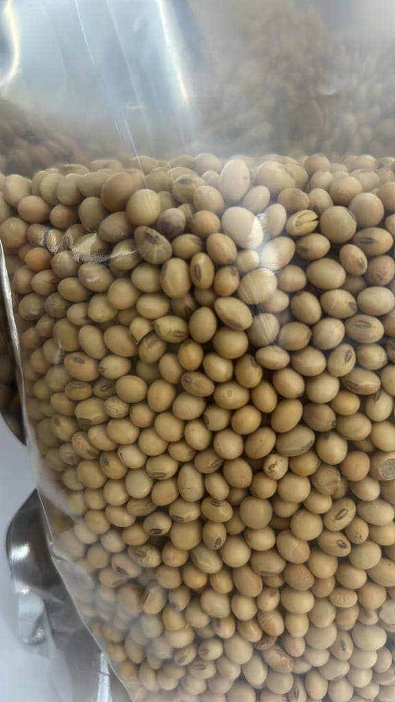 Soyabean whole view 2