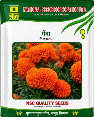 NSC Flower-Marigold- Pusa Narangi- 10 g truthfully Labelled Seed Pouch