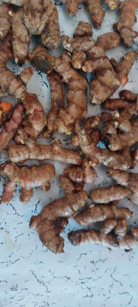 Organic Raw Turmeric view 2