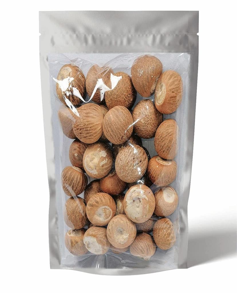 Whole Betel Nut (Supari) view 2