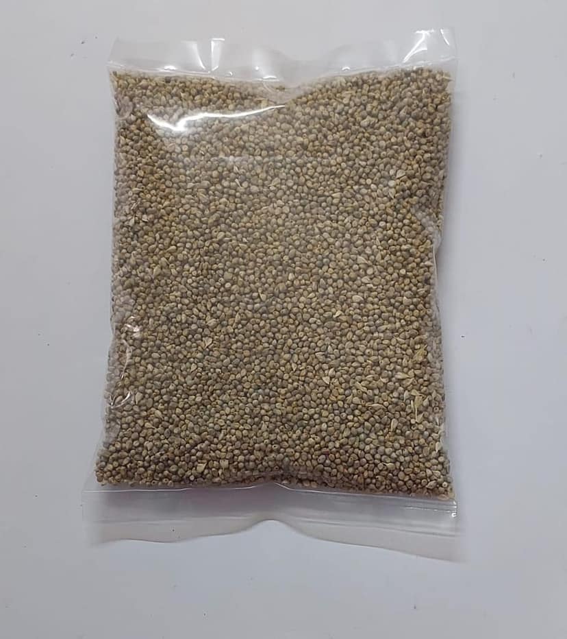 Organic Sajjalu / Peral Millet view 2