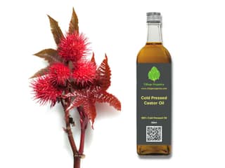 Cold Pressed Castor Oil - 500 Millilitre