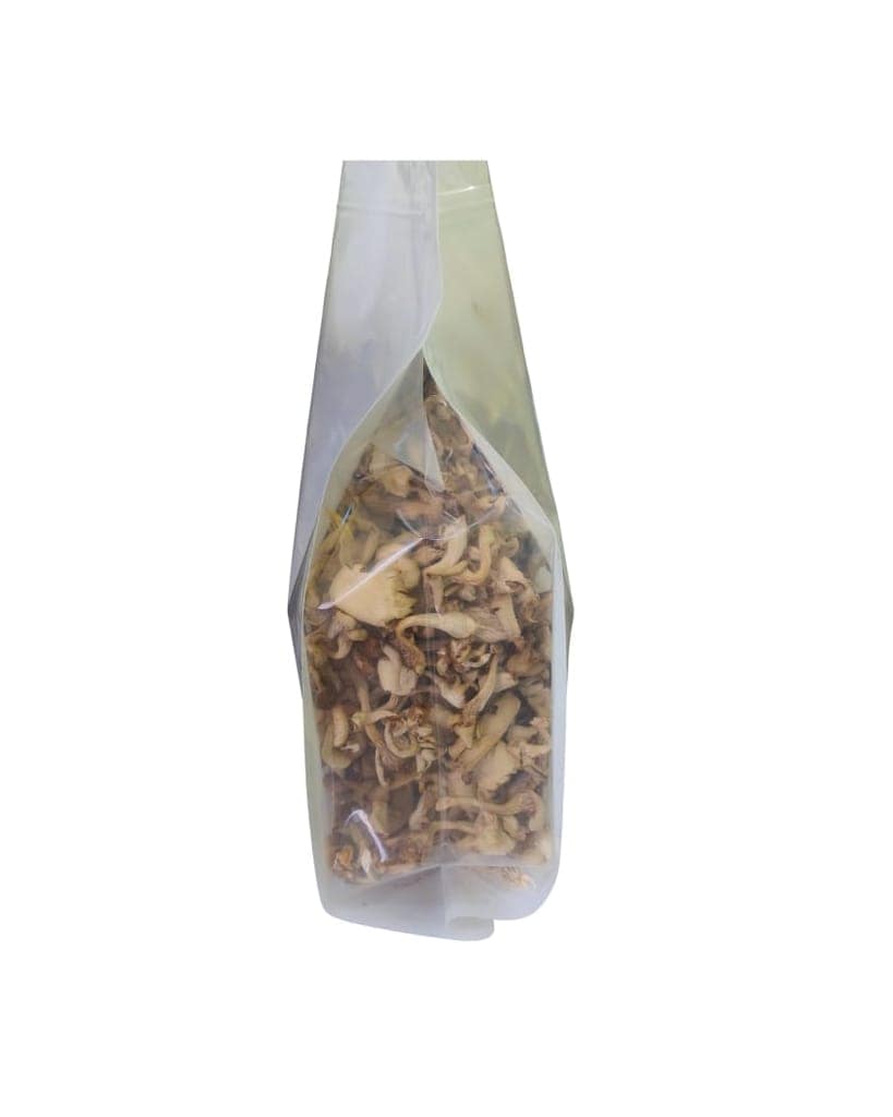 DRY OYSTER MUSHROOM 500GM view 2