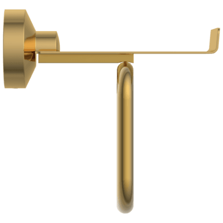 LE-GG-08 Toilet Paper Holder With Shelf (Glossy Gold) view 2