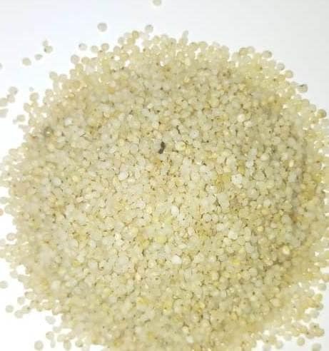 Barnyard Millet view 2