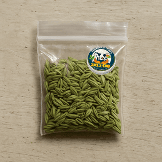 Ramkumari Stores's saunf (fennel seeds)