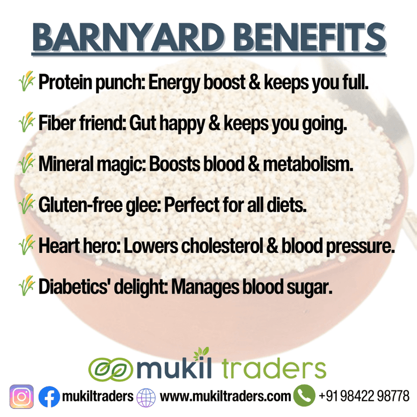 Barnyard Millet Noodles - No Maida - No MSG - Kudhiravaali Noodles (192 gms) view 2