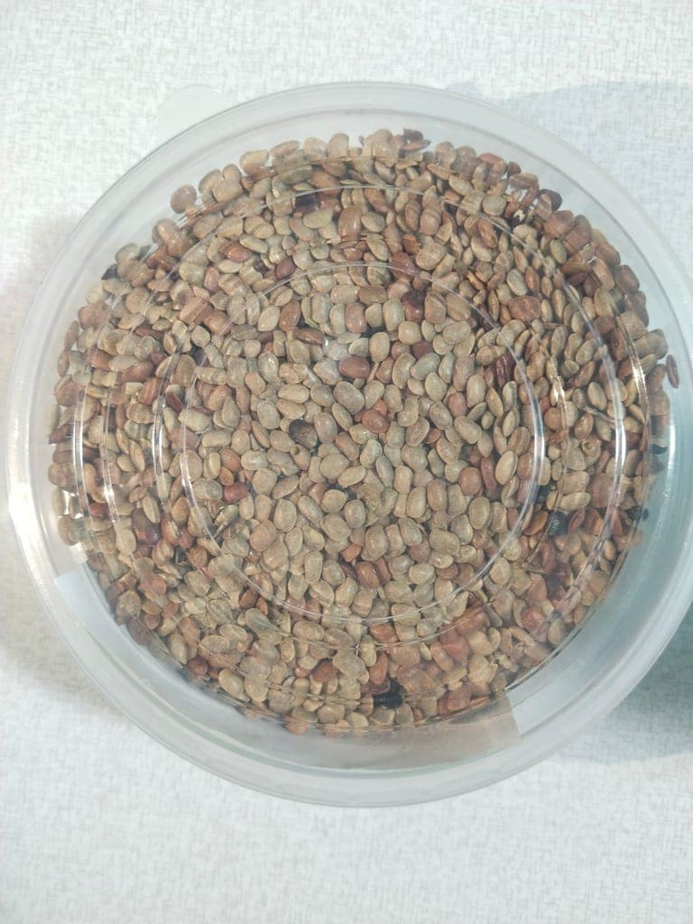 Horse Gram view 2