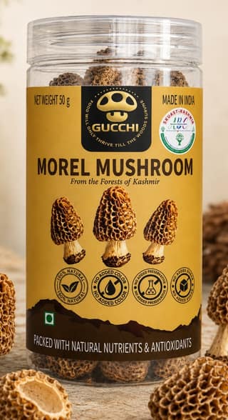Gucchi Morel Mushroom 50g