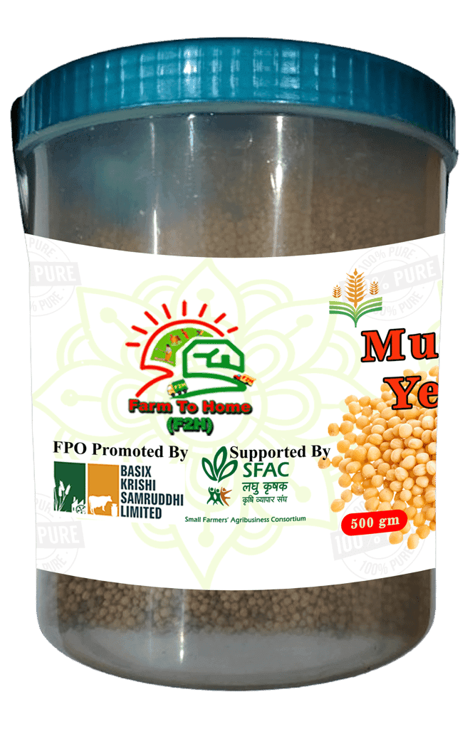 Mustard Yellow Seeds 500g - 100% Pure and Natural view 2