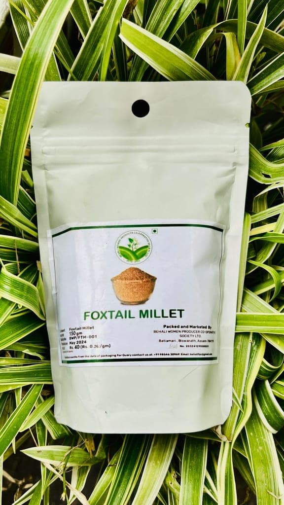 Foxtail Millet view 2