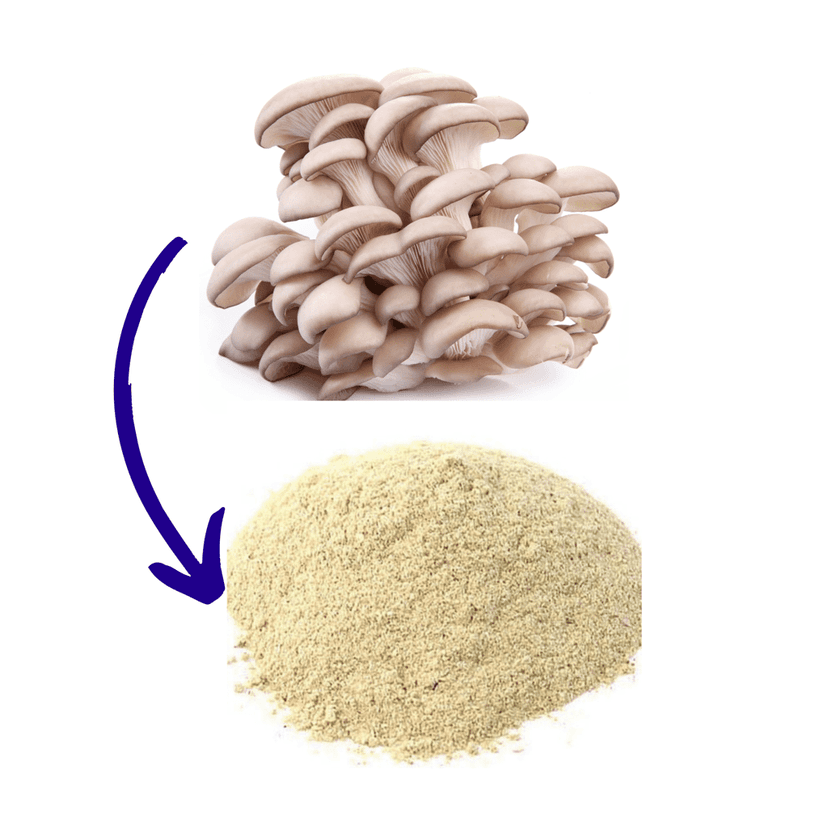 Pure Oyster Mushroom Powder 100 gm - Flavorful & Nutritious view 2