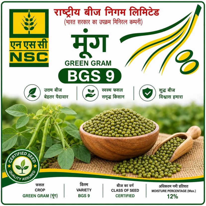 Nsc green gram bgs 9 , 1 kg packing