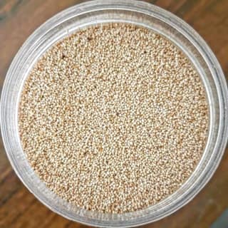 Milkar Chalo Kisan Poppy Seeds / Posta Dana / Khaskhas 500g