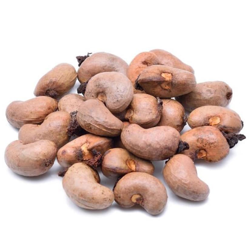 Premium Non-Roasted Cashew from Kerala – 500 gm view 2