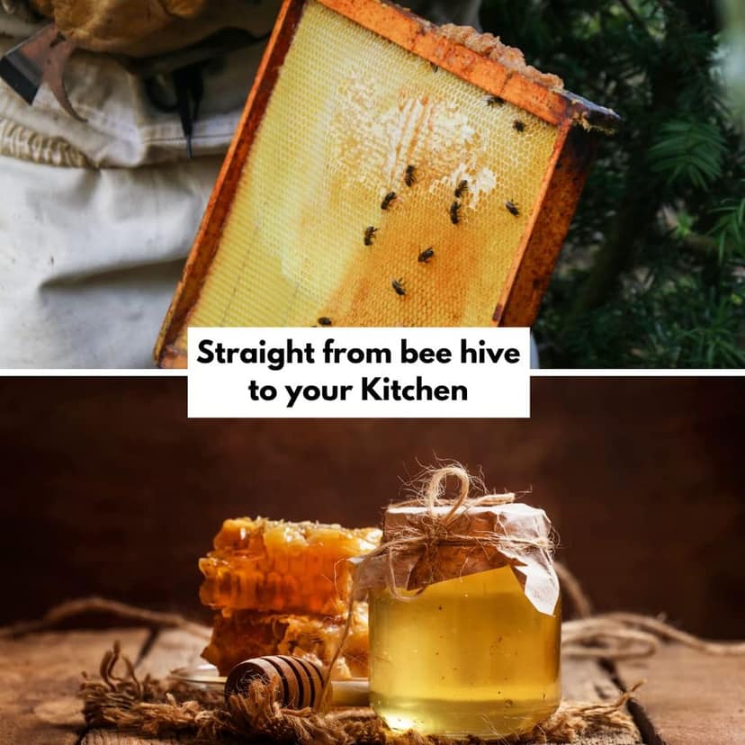 Healthy roots Natural Raw Honey - Organic Honey Raw Unprocessed (Pure raw honey 100% Natural No Added Sugar) view 2