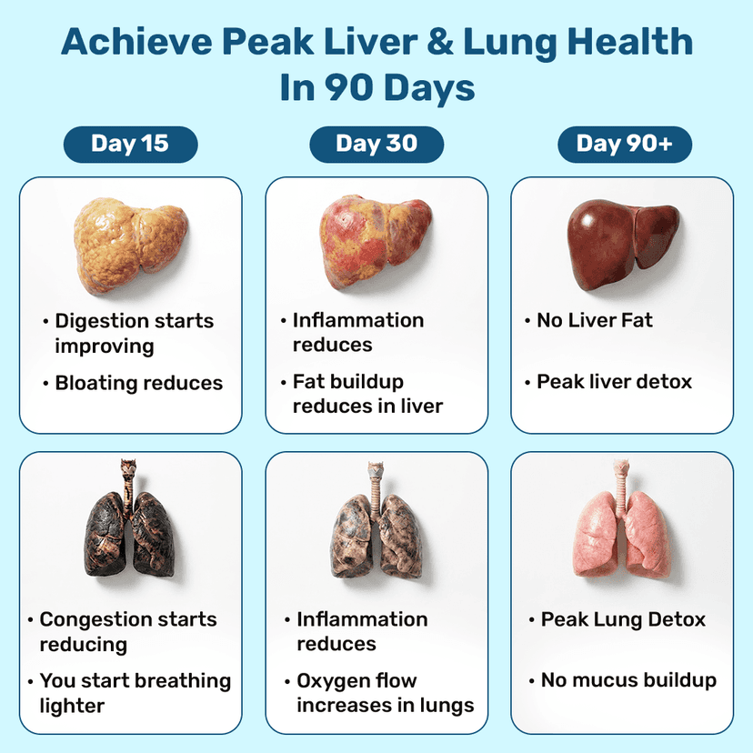 Lung & Liver Detox Capsules Lung & Liver Detox Capsules - 30 Capsules view 2