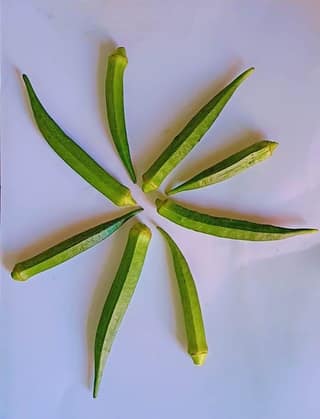 Lady Finger