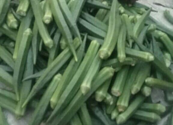 Lady Finger view 2