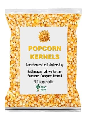 Maize | Popping Kernels