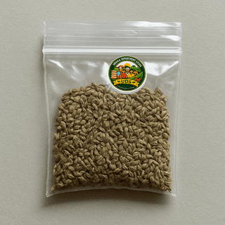 Urmila Department Store's ajwain seeds