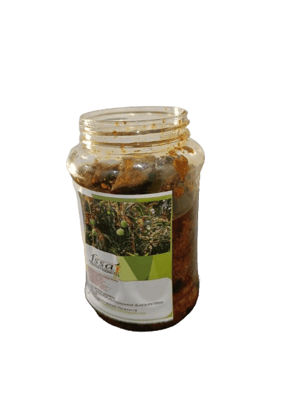 Mango Pickle Aam Ka Achar view 2