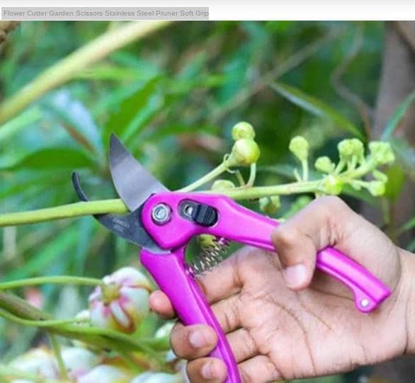 Stainless Steel Garden Scissors, flower cutter view 2