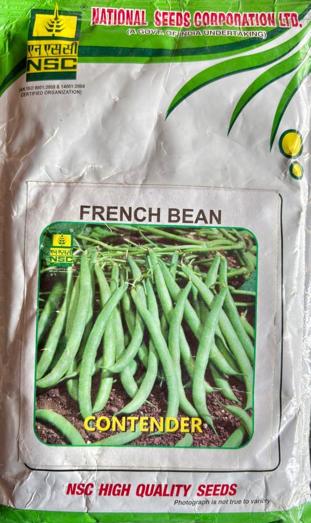 French Bean Seeds view 2