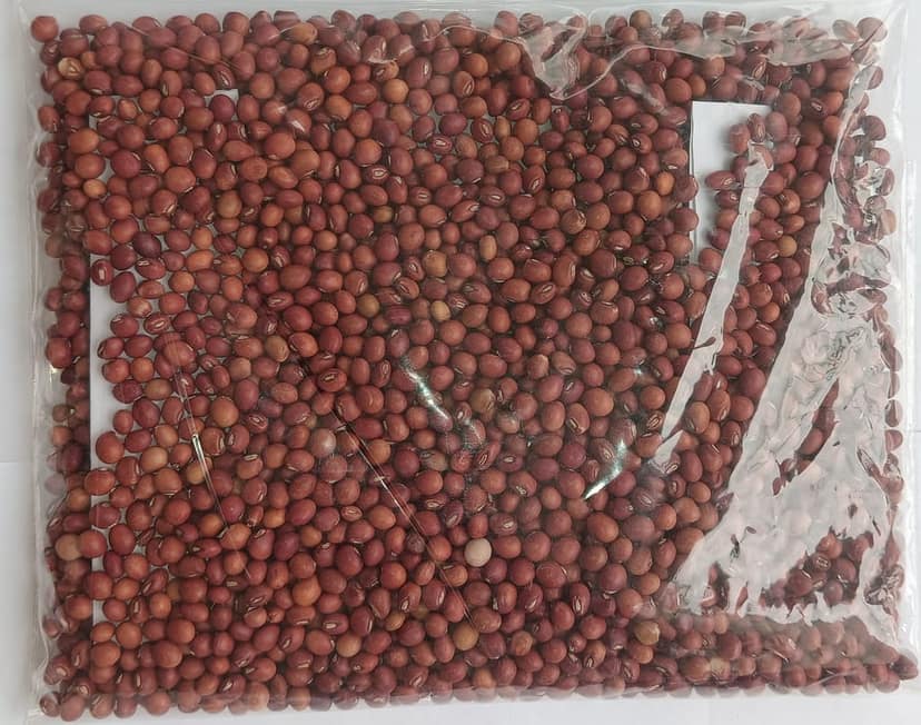 Pegion Pea/ Toor Whole view 2