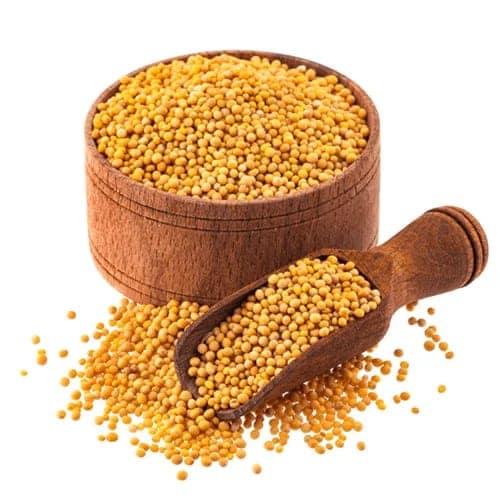 Mustard seeds view 2